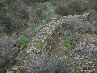 conco di Liricio-24-03-2013 12-09-26